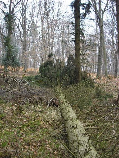 image 023