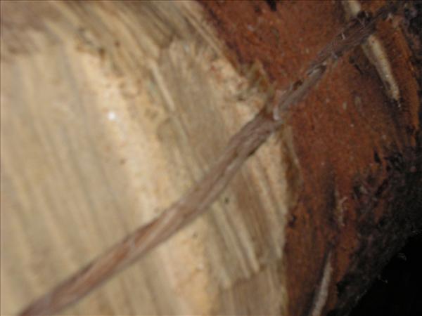 image 032