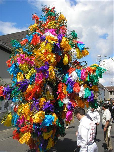 image 024