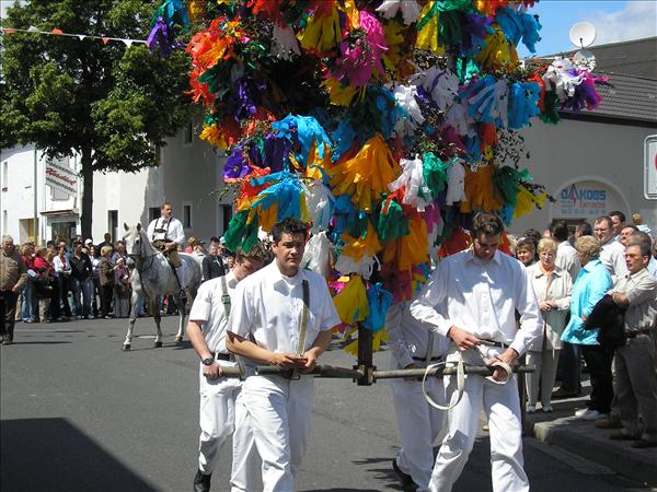 image 025