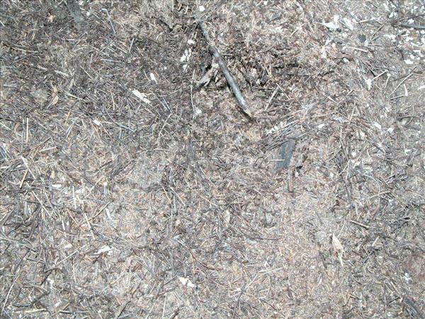 image 014