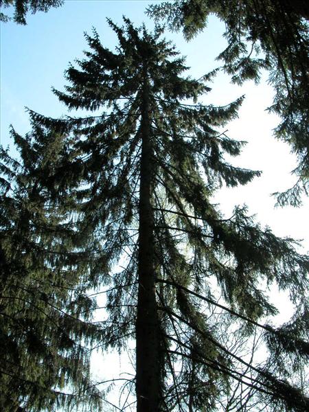 image 072