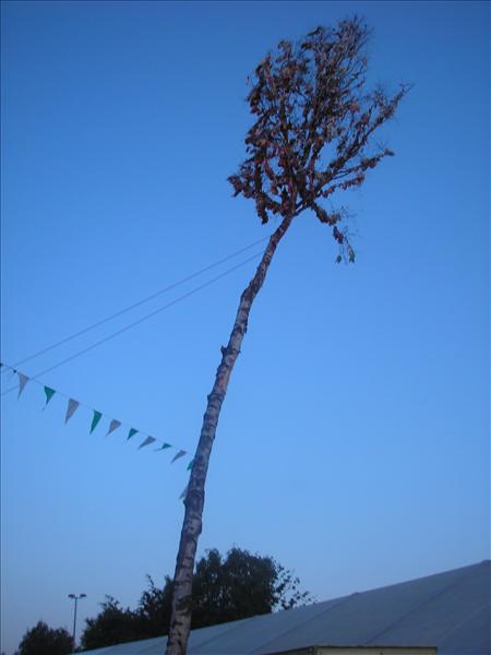 image 001