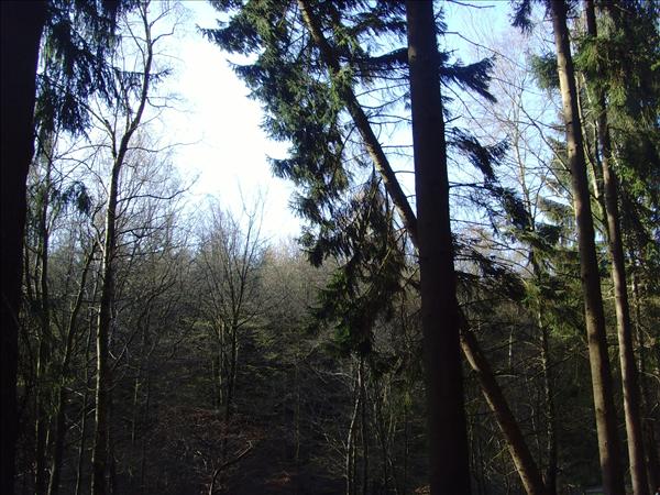 image 027