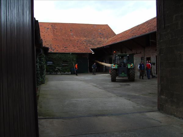 image 039