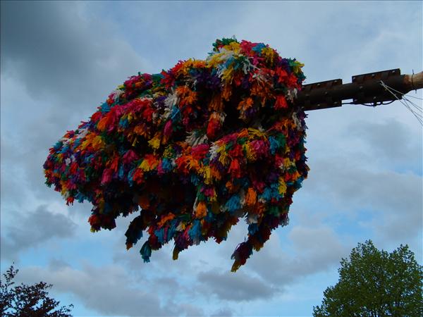 image 100