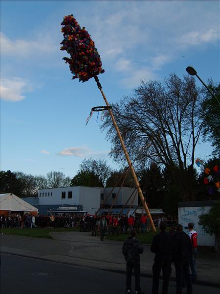 image 136