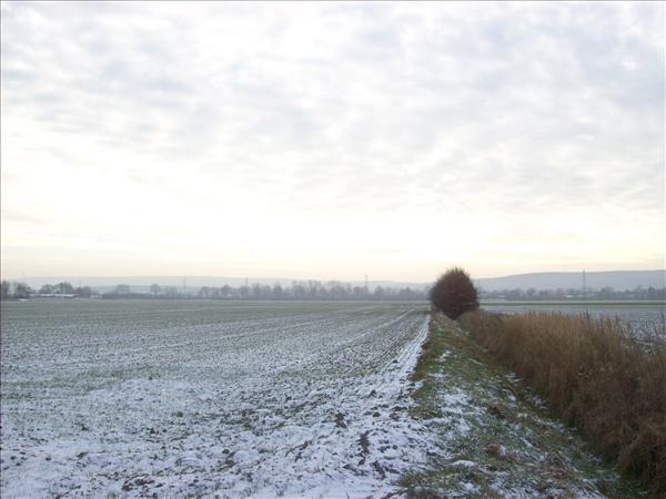 image 023