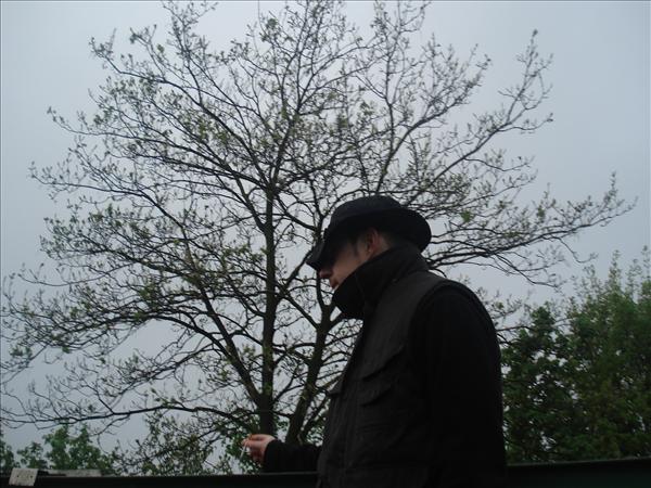 image 004