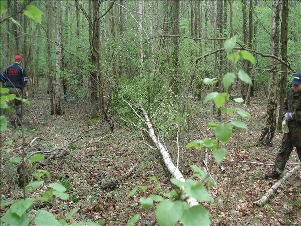 image 151