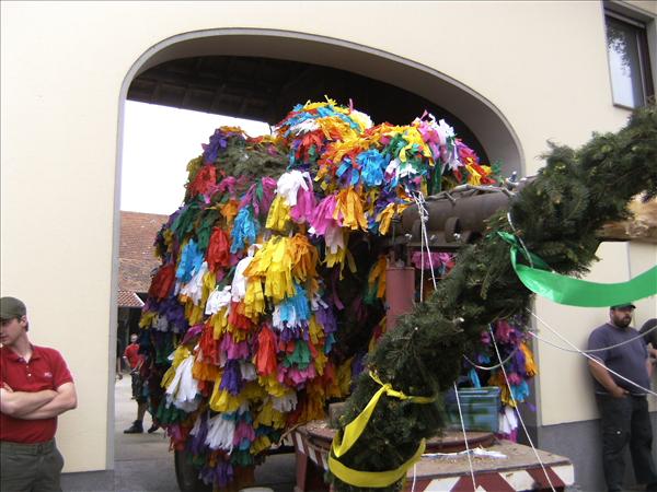 image 031