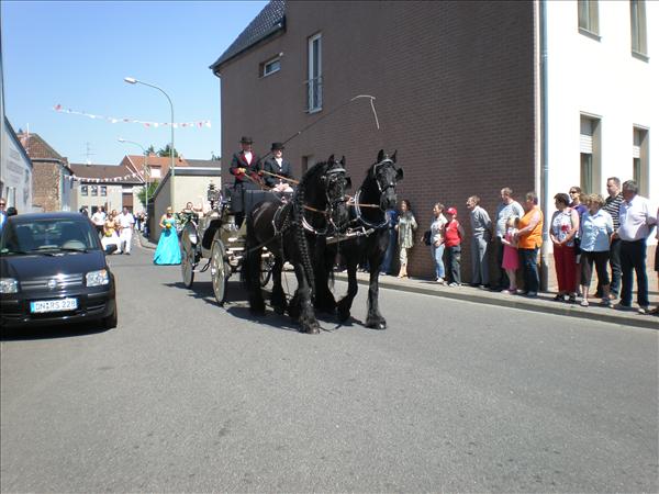 image 015