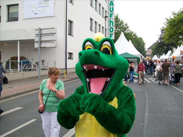 image 016