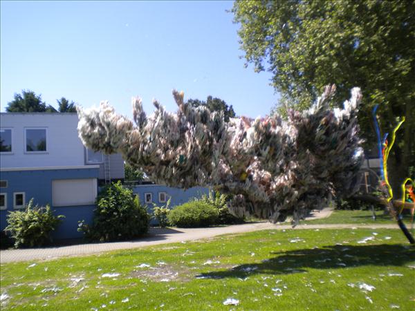 image 035