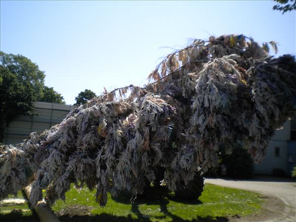 image 040