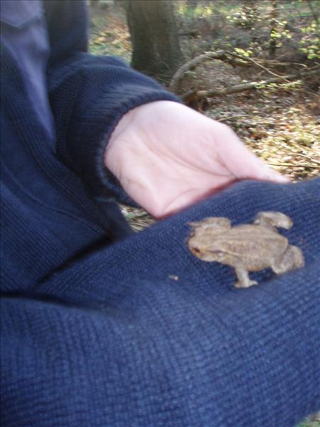 image 012