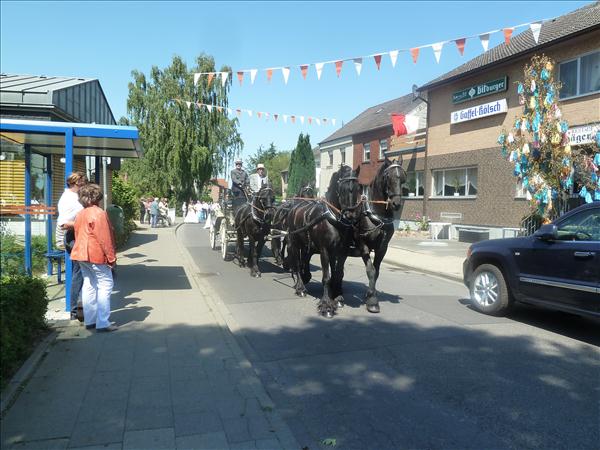 image 050
