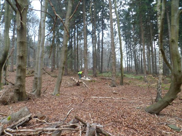 image 023
