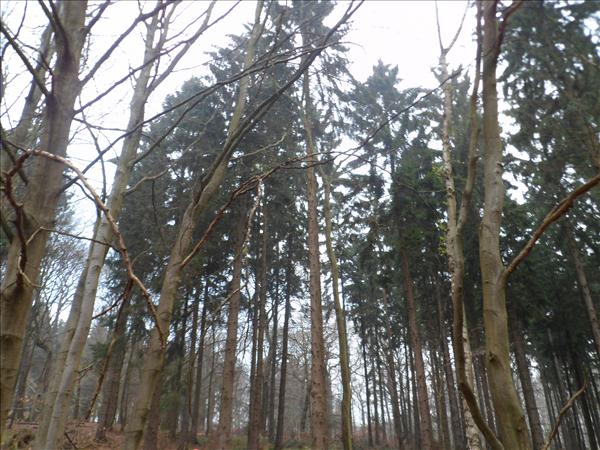 image 026