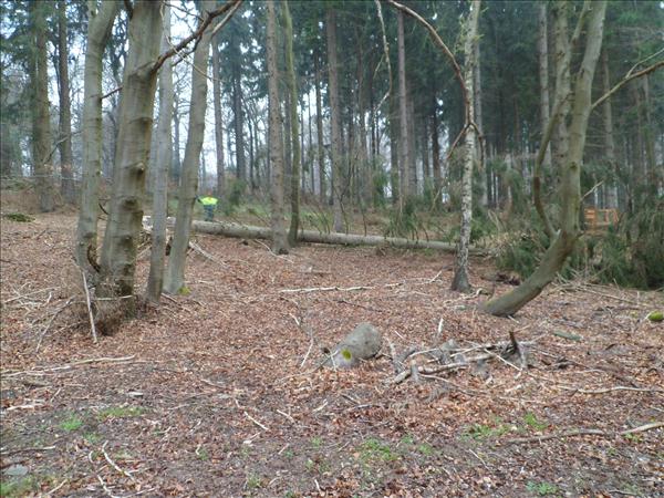 image 028