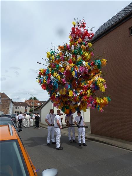 image 023