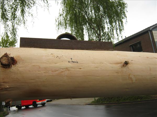 image 028