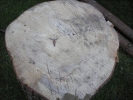 image 013