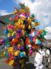image 024