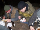 image 067