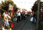 maifest koenig holen