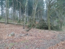 image 027