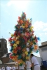 image 036