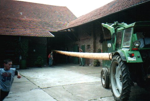 baum10