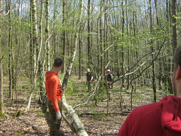 image 051