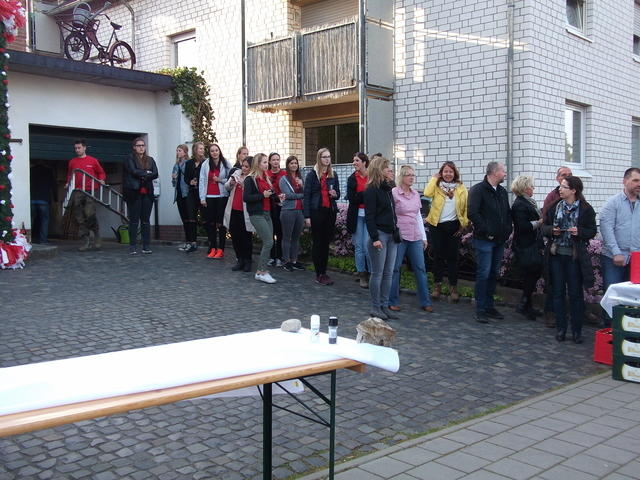 Bild (87)
