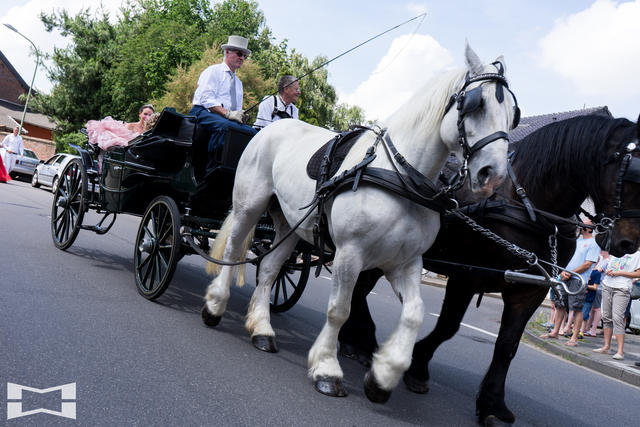 Maifest Echtz 030618 SO (124 von 491)