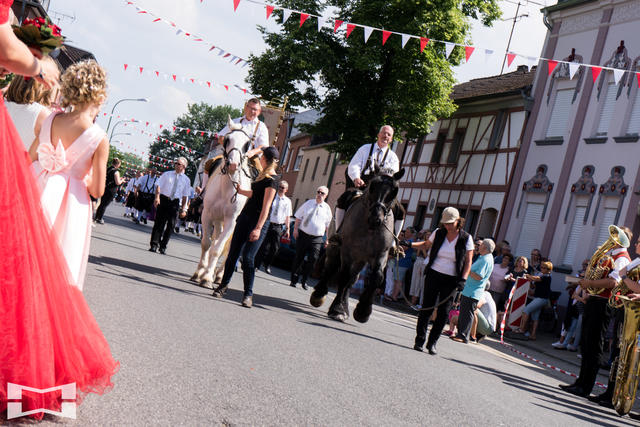 Maifest Echtz 030618 SO (323 von 491)