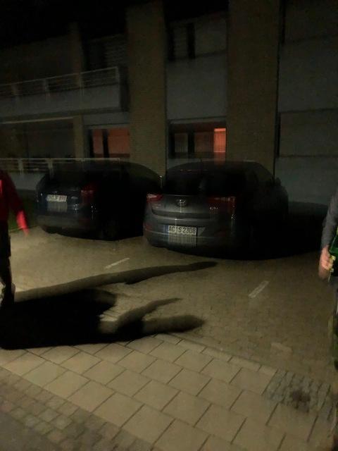 IMG 3022