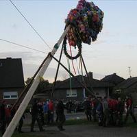 image 135