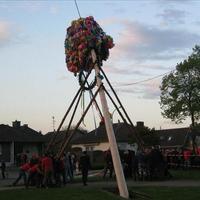 image 141