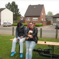 image 323