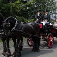 BILD 01