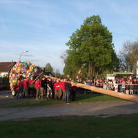Bild (165)