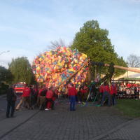 Bild (181)