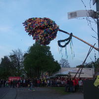 Bild (213)