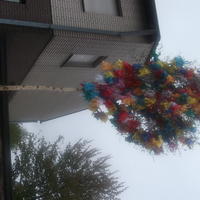 Bild (283)