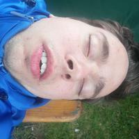 Bild (306)