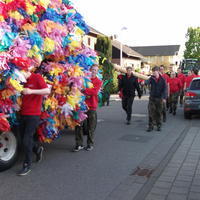 Bild (72)