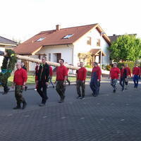 Bild (83)