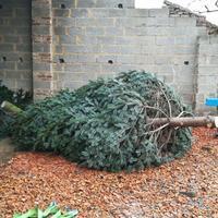 IMG-20180413-WA0001